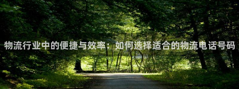 多多28模拟器下载：物流行业中的便捷