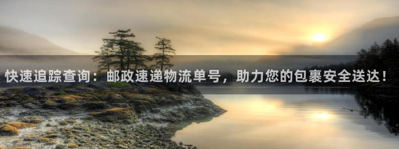 多多28圈：快速追踪查询：邮政速递物