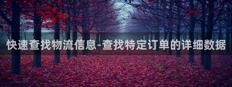多多28v6能卖多少：快速查找物流信