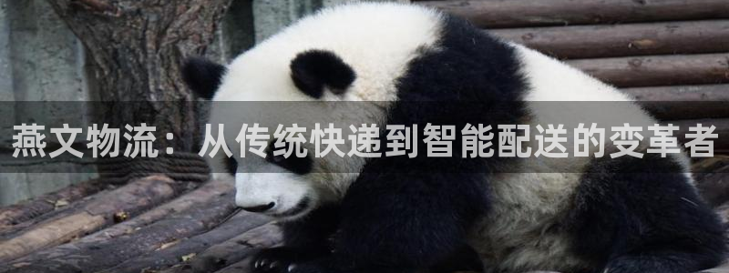 多多28注册问一问：燕文物流：从传统
