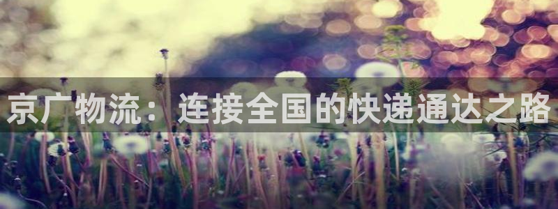 多多28违法吗：京广物流：连接全国的