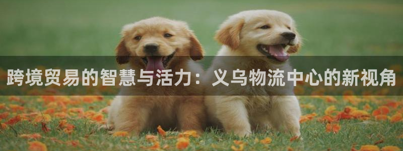 多多28自行车图片大全：跨境贸易的智