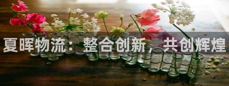 多多28是正规平台吗：夏晖物流：整合
