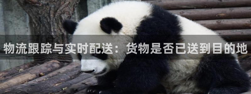 多多28登录不上咋回事：物流跟踪与实