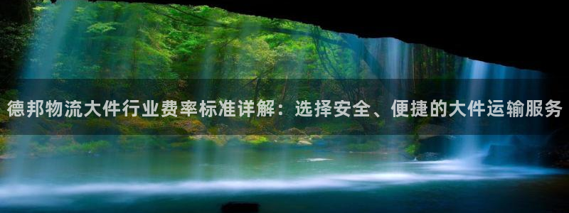 多多28官网入口官网:德邦物流大件行