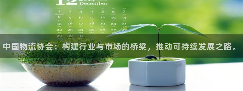 多多28是南宫旗下的吗