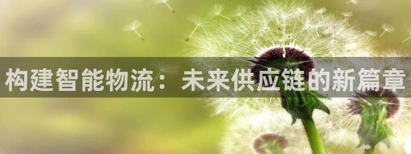 多多28登录：构建智能物流：未来供应