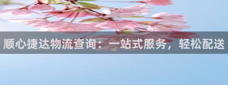 多多28为什么打不开：顺心捷达物流查