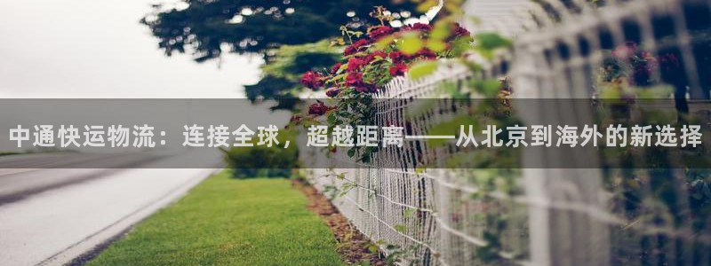 多多28加拿大最新版