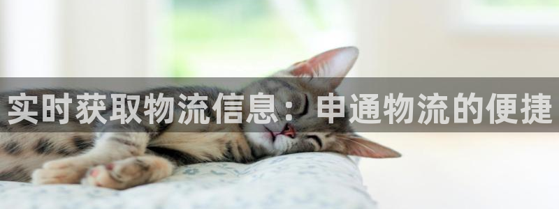 多多28注册限制怎么解除：实时获取物