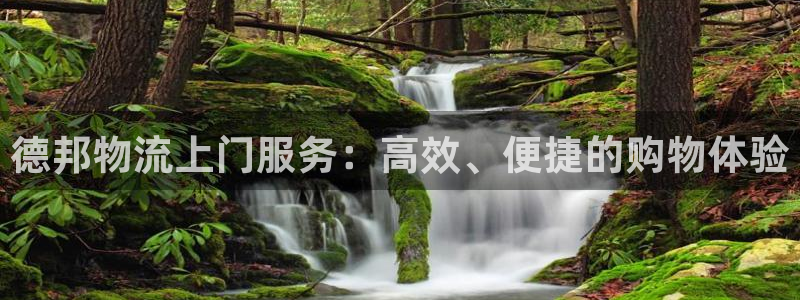 多多28怎么下载教程：德邦物流上门服务：高效、便捷的购物体验
