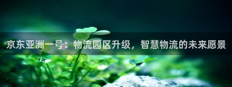 多多28登录：京东亚洲一号：物流园区