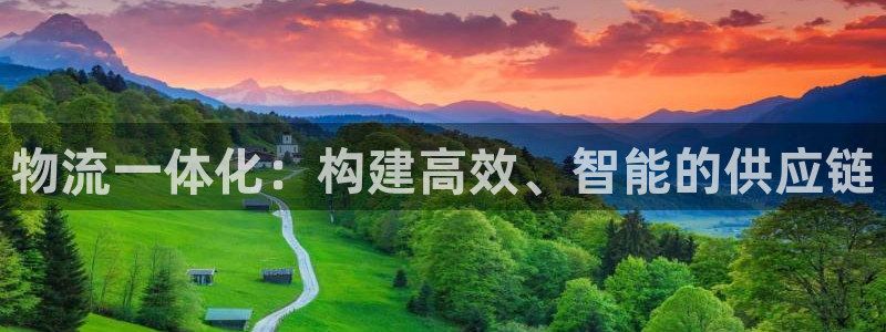 多多28加拿大开奖:物流一体化:构建