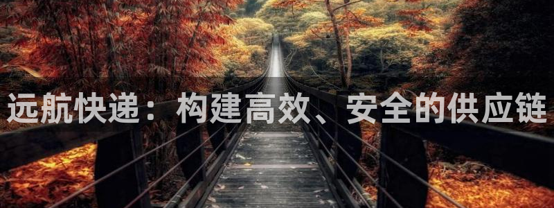 多多28注册链接教程：远航快递：构建