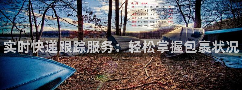 多多28pg麻将胡了：实时快递跟踪服