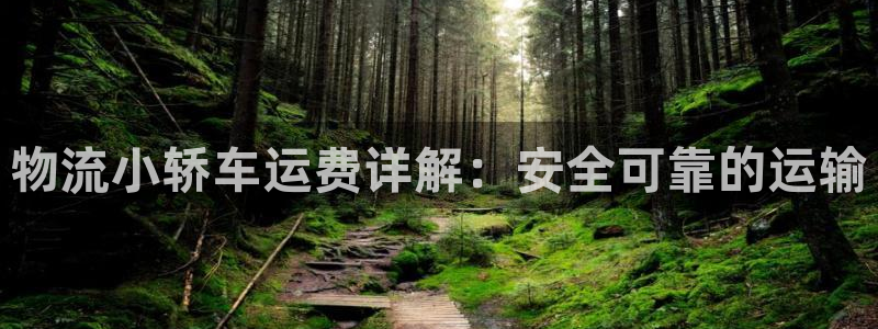 多多28怎么注册:物流小轿车运费详解