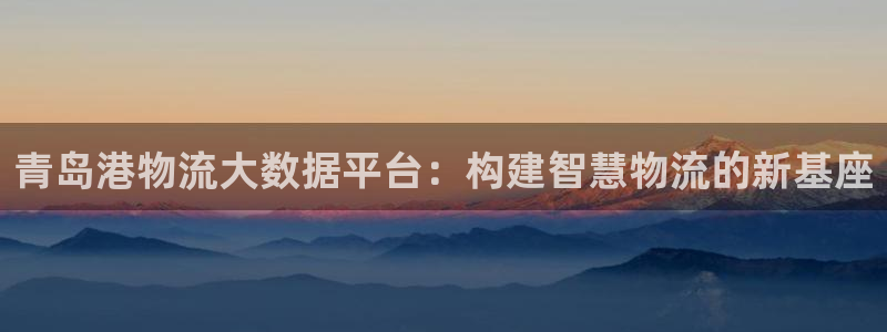 多多28怎么申请代理：青岛港物流大数