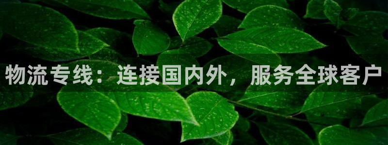 多多28不给提现：物流专线：连接国内